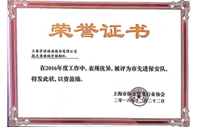 大團(tuán)鎮(zhèn)“市先進(jìn)保安隊(duì)”榮譽(yù)證書(shū)